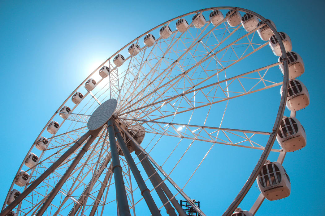 Two rides, including a ferris wheel, were closed following the incident.