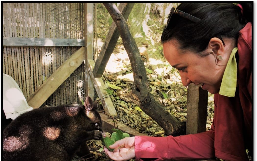 Emily holds out a leaf for an elderly possum in an outdoor sanctuary. She smiles as the possum takes the leaf from her hand.