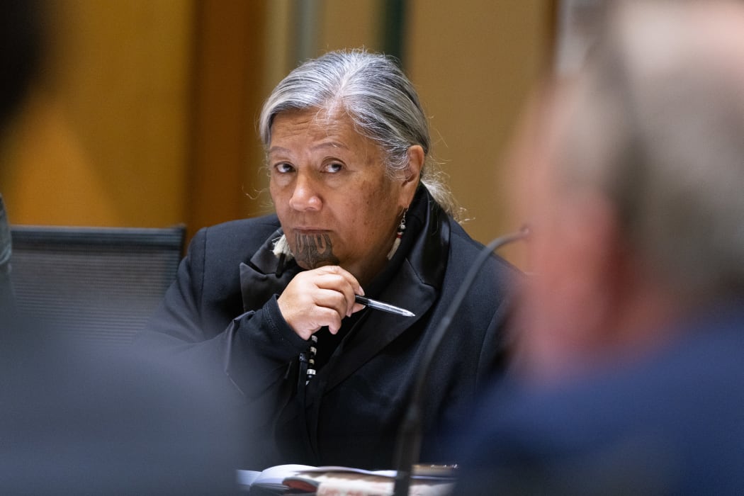 MP for Te Tai Tokerau, Mariameno Kapa-Kingi in Social Services and Community Committee hearings during Scrutiny Week.