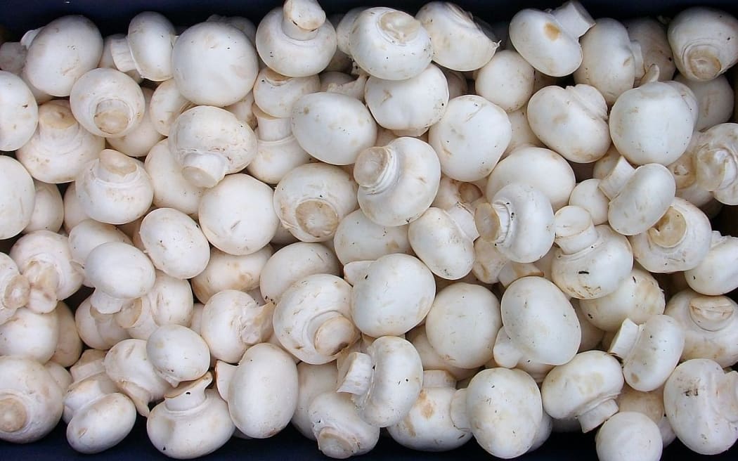 white button mushrooms
