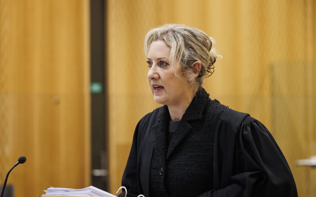 Defence lawyer Anne Toohey at the Lauren Dickason sentencing on 26 June, 2024.