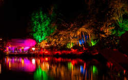 Festival of Lights in New Plymouth