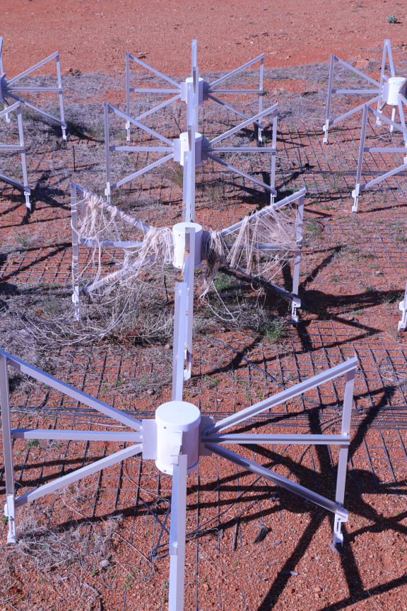 The Murchison Widefield Array looks like an army of spider-like aliens.
