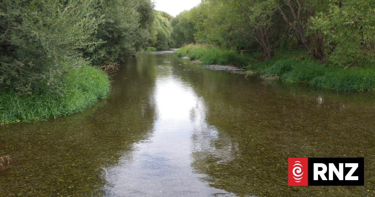 Kidney failure-causing pathogen found in Canterbury rivers | RNZ