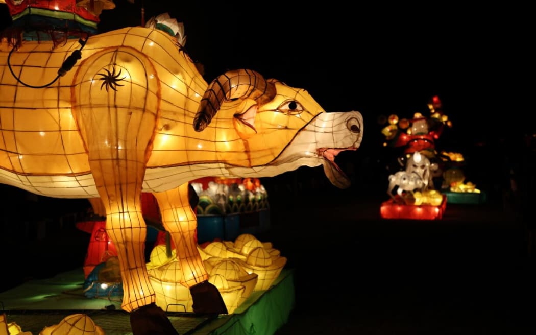 More than 500 lanterns are on display at South Auckland's Manukau Sports Bowl, most of which have been hand-crafted in China.