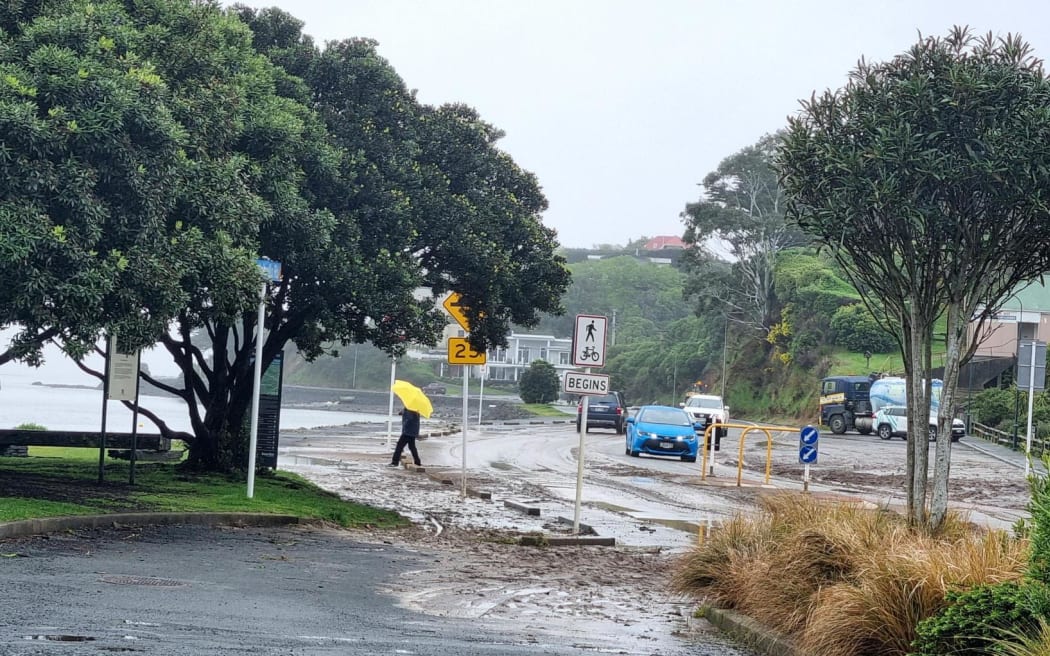 Plenty of Macandrew Bay residents have been out for a walk to check the damage after the flooding.