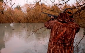 050518 Photo: Richard Cosgrove / Fish & Game NZ
Opening Day of the 2018 water fowl season in Canterbury hunters in action on a pond in the Selwyn District