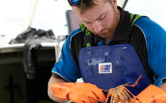 Johnny Clark catches all the crayfish he sells at Nins Bin.