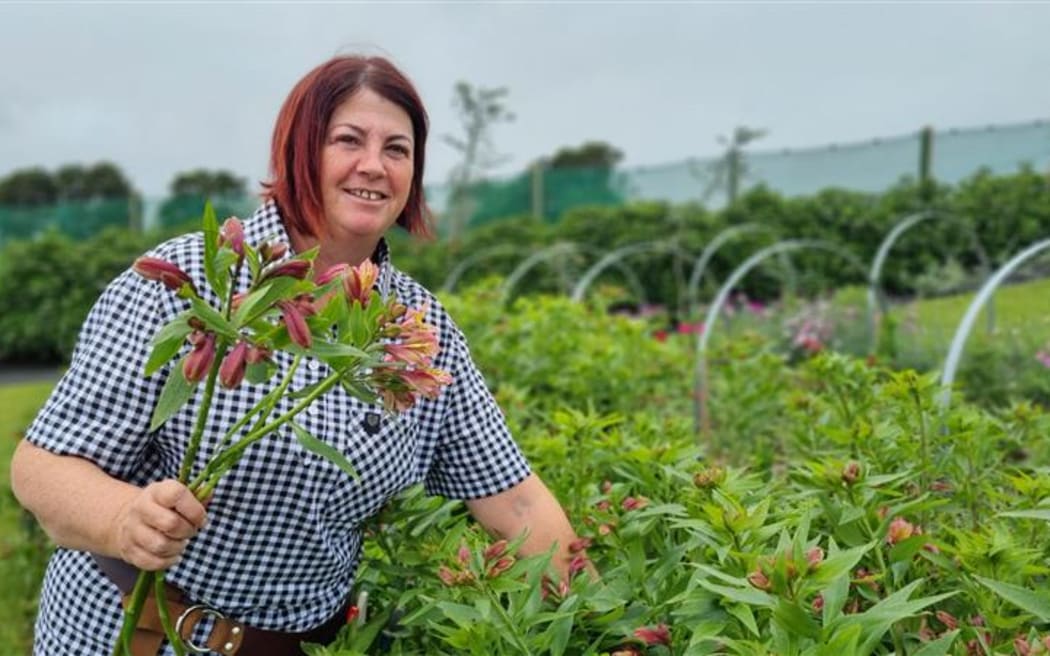 Christina Hannam pulls stems of Alstroemeria from her Lepperton Bee Valley Flower Farm.