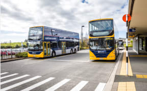 Auckland buses