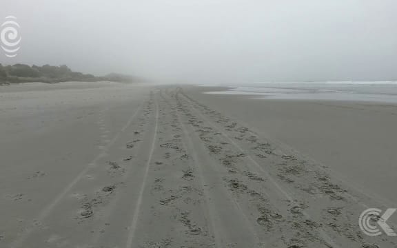 Residents fearful after Dunedin freedom camping ban dismissed: RNZ Checkpoint