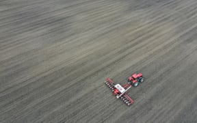 A corn farm in Illinois