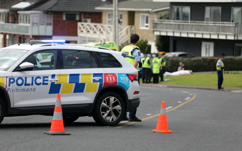 One dead after car crashes into hedge in Auckland's Stanmore Bay | RNZ