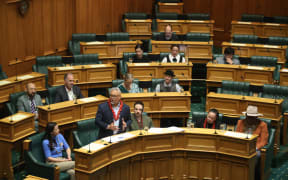 Green Party MP Teanau Tuiono addresses parliament during the third and final reading of his private members Citizenship (Western Samoa) (Restoration) Amendment Bill). 20 November 2024
