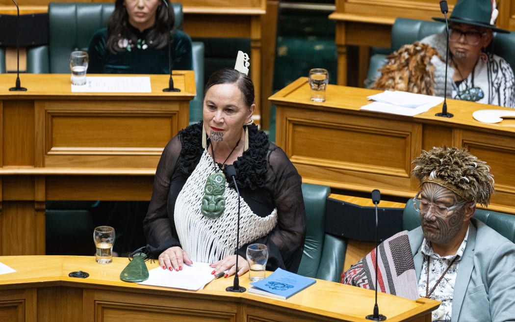 Scenes from Parliament on Commission Opening Day 2023