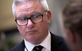 Labour Party MP Kelvin Davis
