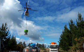 The 1080 drop in the Russell State Forest began over the weekend.