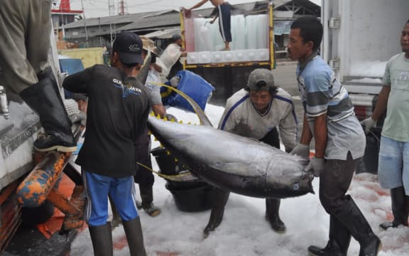 Tuna fishing