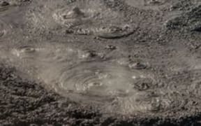 rotorua mud
