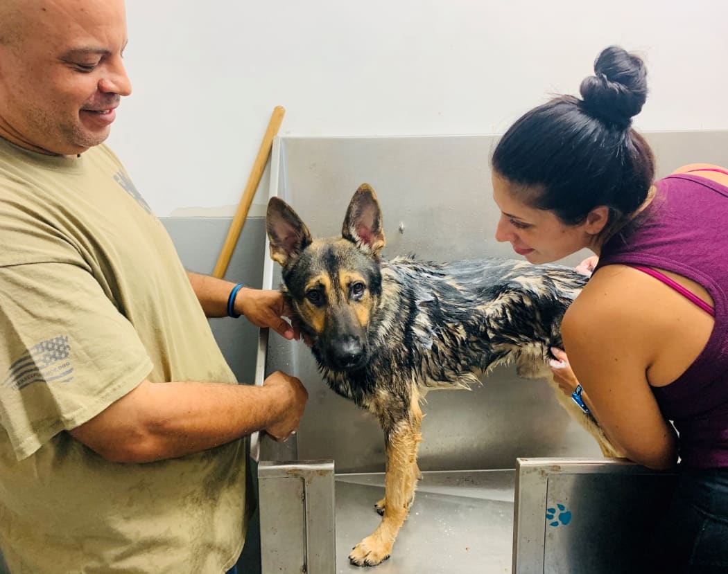 Dr Kristine Decina (right)and Senior Trainer Dave Smith with Bolo the dog