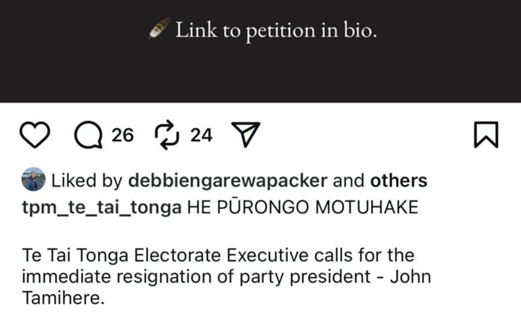 The Instagram post had been liked by co-leader Debbie Ngarewa-Packer.