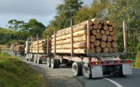 Ngāti Hine logging