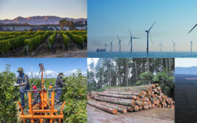 The NZ Super Fund has local investments like Kaingaroa Timberlands as well as viticulture, kiwifruit and other primary sector businesses.
