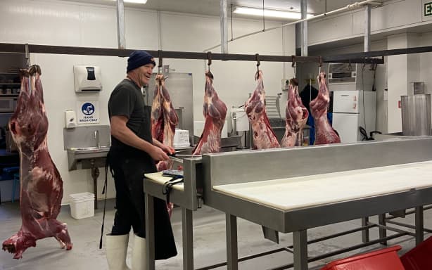 'It's a waste of resources if we don't use the carcasses ' - Wild deer ...