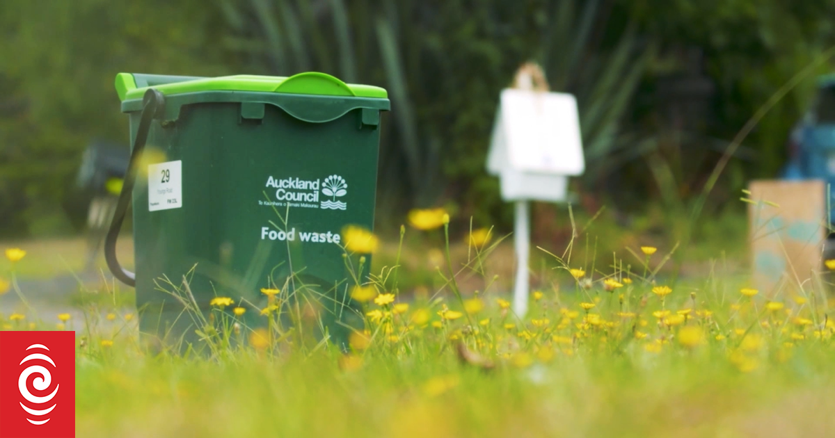 'A bit of a mission': Auckland's new food waste bin scheme causes a stink