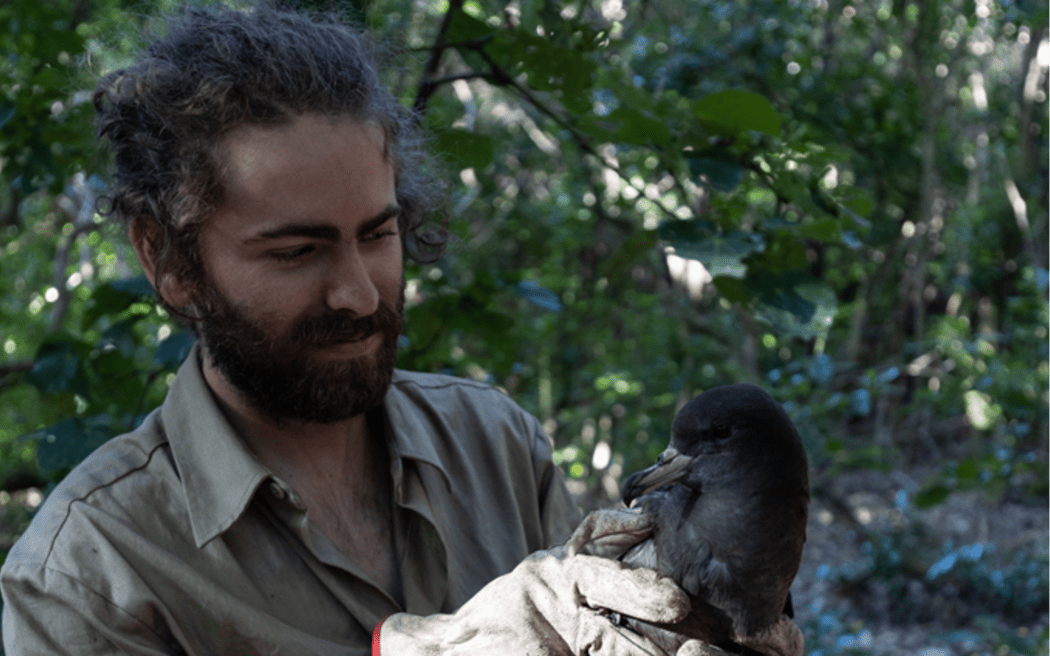 Predator free apprentice Simon Lamb with a shearwater on Ohinau Island.