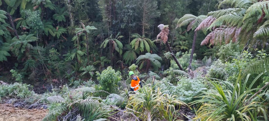 Sian Potier and Kiekie disappear into the bush.