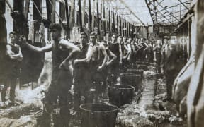 Smithfield plant workers