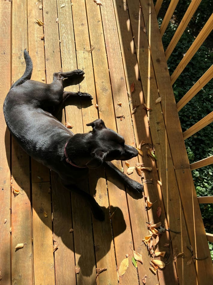 Don't wait until summer to prep your deck.