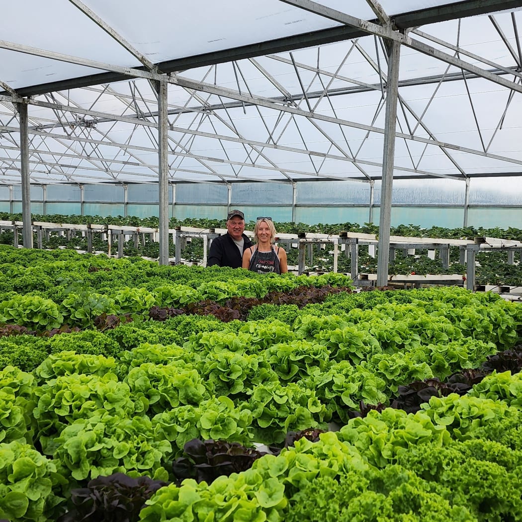 Rodger and Cindy Whitson own a 10 acre property just outside of Mosgiel, where they grow paeonies and hydroponic herbs and salad dressings.