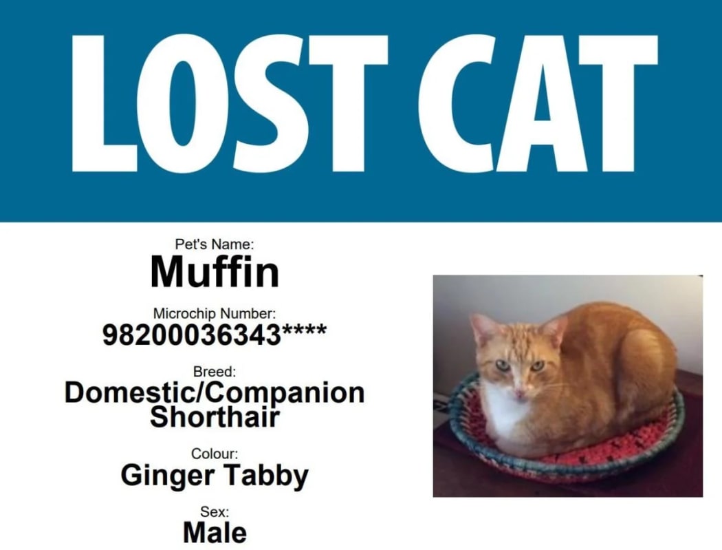 Quigley searched extensively for Muffin after he went missing.