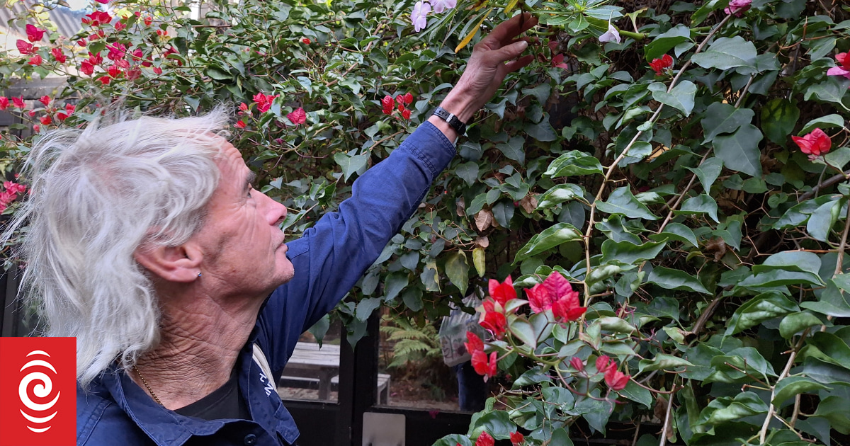 High school dropout turned gardening extraordinaire: 'It's in my DNA ...