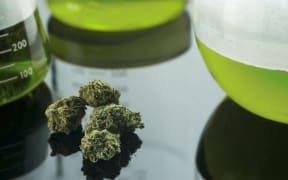 cannabis medicines