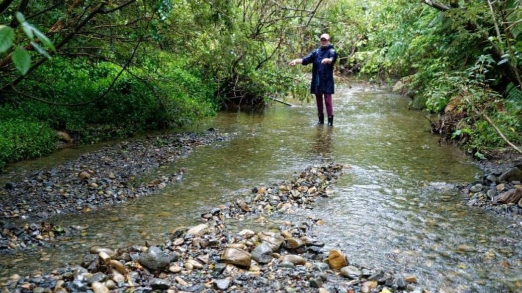 A volunteer displays the minor rockwork done to divert the creek's flow to lower the lake and protect the gardens.