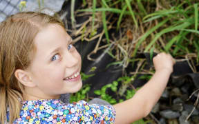 Caelyn Hossack, 9, has found a rare colony of Hawke's Bay skinks in Waipawa.