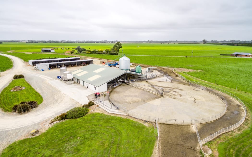 Grandview dairy farm