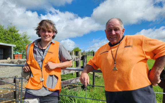 Archie and Micky leaning on a gate in the paddock