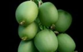 Kiwiberry