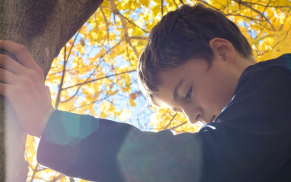 boy thoughtful with tree