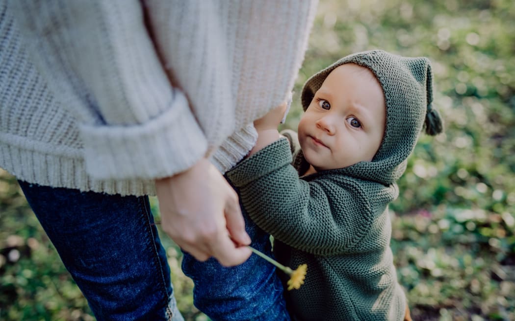 A mother holding hands of her baby son when walking in nature, baby's first steps concept.