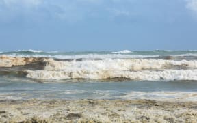 Muriwai Beach