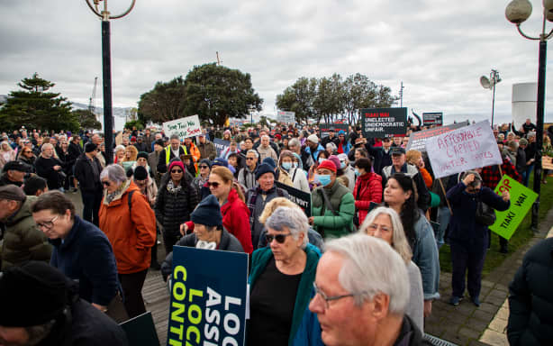 Attendees of the Stop Tiaki Wai protest marching to Parliament