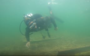 Cory O’Neill laying the uwhi on the lake bed of Lake Rotoiti.