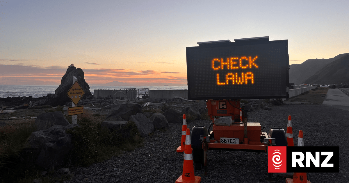 Government will publicly release findings of inquiry into Moa Point wastewater plant