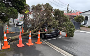 A damaged car on Rintoul St, Wellington.