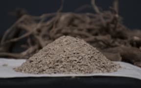 Vanuatu Kava Root Powder